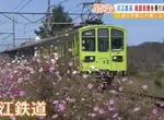 《賠錢28年的近江鐵道》起死回生的妙計竟然是免費搭車 犧牲一天的業績有什麼效果? 《賠錢28年的近江鐵道》起死回生的妙計竟然是免費搭車 犧牲一天的業績有什麼效果?
