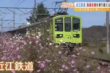 《賠錢28年的近江鐵道》起死回生的妙計竟然是免費搭車 犧牲一天的業績有什麼效果？