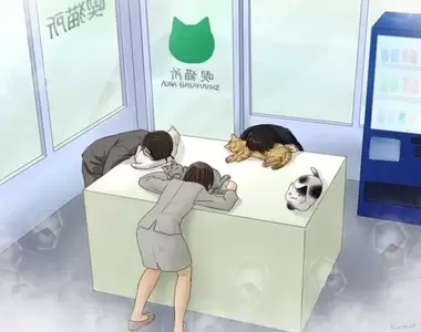 網友發文提醒《請不要在有化妝的情況下吸貓》化妝品會沾到貓毛上要注意喔