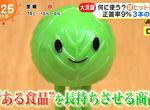 《暢銷多年的謎樣商品》長相可愛卻有三隻腳的神祕生物?只有9%的人猜得出正確用途 《暢銷多年的謎樣商品》長相可愛卻有三隻腳的神祕生物?只有9%的人猜得出正確用途