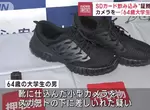 《64歲大學生偷拍裙底被捕》為了看胖次在鞋子挖個小洞塞攝影機進去 《64歲大學生偷拍裙底被捕》為了看胖次在鞋子挖個小洞塞攝影機進去