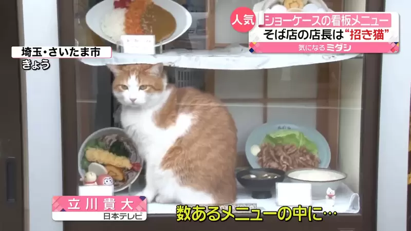 《蕎麥麵店的真.招財貓》自從有了貓貓平凡無奇的店面就變得與眾不同惹 《蕎麥麵店的真.招財貓》自從有了貓貓平凡無奇的店面就變得與眾不同惹