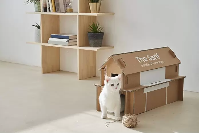 《替寵物設計的貼心發明》有愛心的表現讓毛孩可以有更好的生活 《替寵物設計的貼心發明》有愛心的表現讓毛孩可以有更好的生活