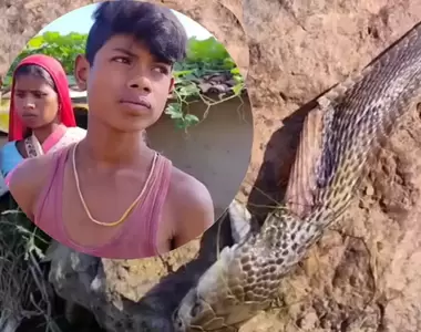 印度奇聞《咬了八歲男童的眼鏡蛇》結果男孩沒事毒蛇卻GG惹