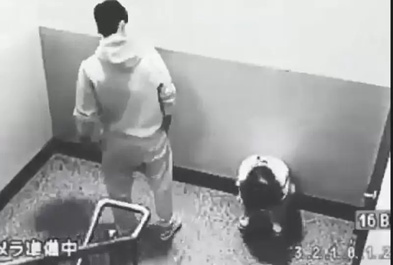 一言不合就超展開?《情報量過多特輯》以後怎麼相信路上情侶是真的吵架? 一言不合就超展開?《情報量過多特輯》以後怎麼相信路上情侶是真的吵架?