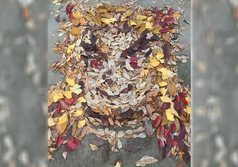 掃地的浪漫《落葉煉獄杏壽郎》有求必應的美術老師又有新作品惹