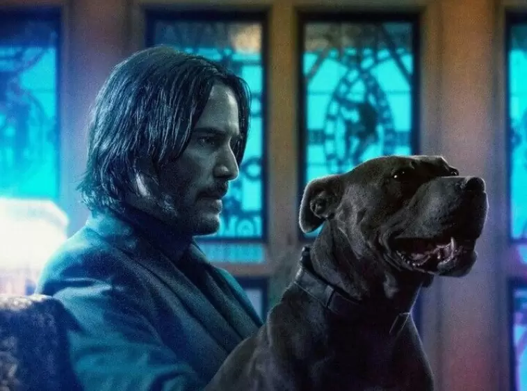 最新預告《捍衛任務4》愛狗人士基哥終於要帶著鉛筆回來了