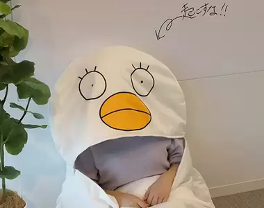 銀魂搞笑週邊《Just a way、伊麗莎白  睡袋》真要說差一點什麼東西,我想就是你的腳毛了吧XD
