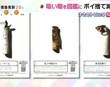 《亂丟菸蒂圖鑑》路上看到菸蒂馬上命名登錄 玩這個遊戲有助於減少沒品行為?