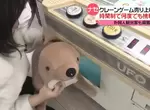 《日本最新夾娃娃機事情》咖哩飯也可以夾?還有店家推出計時制讓你夾到飽 《日本最新夾娃娃機事情》咖哩飯也可以夾?還有店家推出計時制讓你夾到飽