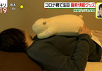 《安眠熊布偶Oyasumi Goospy》失眠睡不好的救星 抱著牠可以幫助你一晚好眠