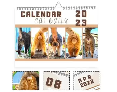 《2023年貓蛋蛋月曆》喜歡貓貓的朋友這款商品肯定是必收的~對吧XD