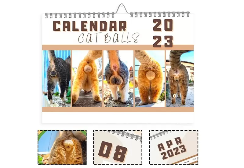 《2023年貓蛋蛋月曆》喜歡貓貓的朋友這款商品肯定是必收的~對吧XD 《2023年貓蛋蛋月曆》喜歡貓貓的朋友這款商品肯定是必收的~對吧XD