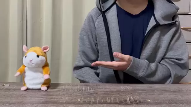 ARuFa流《迴聲玩偶改造計畫》搭配吉他演奏這結果我真的猜不到XD