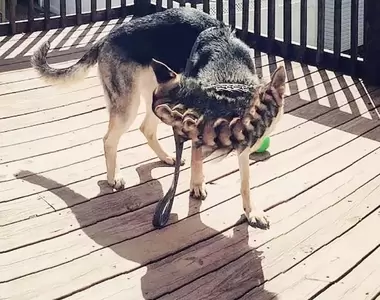 《全景攝影下的NG照片》在AI繪圖流行之前人類就已經能用手機拍下怪異的照片