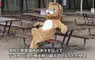 天王寺動物園舉行《因為地震獅子逃脫的捕獲訓練》明明是正式演習卻可愛到讓人有被療癒的感覺