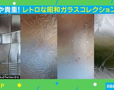 《懷舊的壓花玻璃》即將連同屋齡55年的老家一起拆除 日本網友們直呼可惜呼籲保留