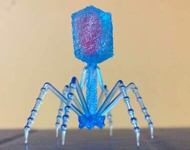 趣味扭蛋《T4噬菌體》受到網友高度喜歡的病毒型轉蛋玩具