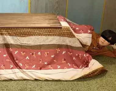 ARuFa流《強制讓人離開暖桌的辦法》人一旦縮進去就不想出來之完全破解(物理)