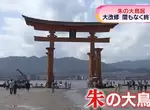 終於快要修好了《嚴島神社大鳥居》疫情期間大修3年有望在今年重見天日 終於快要修好了《嚴島神社大鳥居》疫情期間大修3年有望在今年重見天日