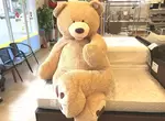 《躲警察男子藏入巨型熊熊娃娃》當所有警察都在注意在呼吸的熊,就知道接下來... 《躲警察男子藏入巨型熊熊娃娃》當所有警察都在注意在呼吸的熊,就知道接下來...