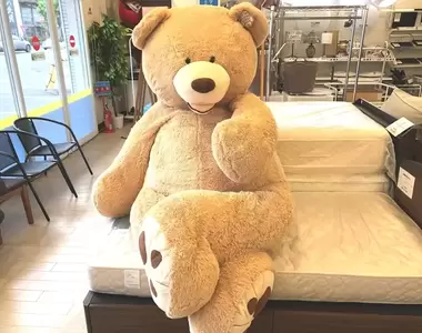 《躲警察男子藏入巨型熊熊娃娃》當所有警察都在注意在呼吸的熊,就知道接下來...
