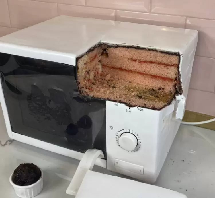 可食用電器用品《蛋糕微波爐》如果有糖果屋那家俱大概都長這樣吧XD 可食用電器用品《蛋糕微波爐》如果有糖果屋那家俱大概都長這樣吧XD