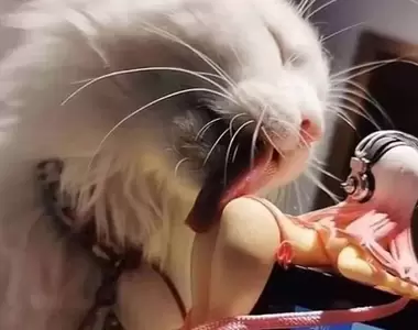 網友分享《各種誇張至極遊戲環境》這擺出來明顯就是要讓我分心的嘛