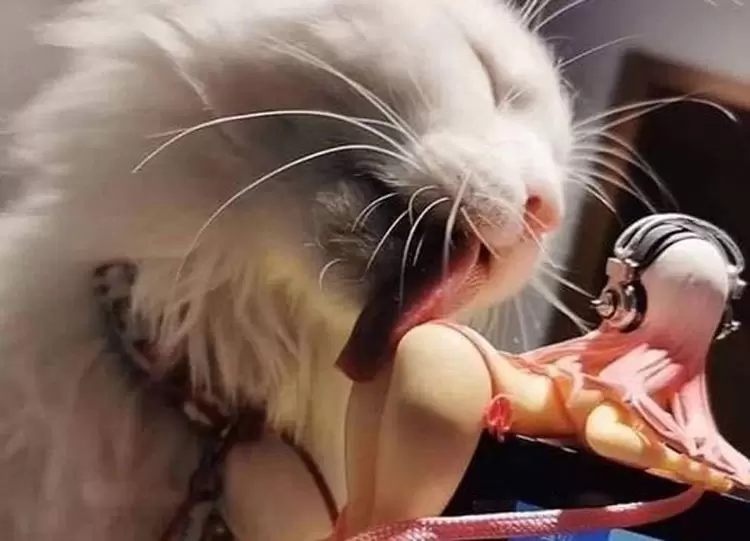 網友分享《各種誇張至極遊戲環境》這擺出來明顯就是要讓我分心的嘛