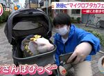 《東京新開幕迷你豬咖啡廳》在都市叢林親近可愛豬豬 帶豬上街散步成了最大的賣點 《東京新開幕迷你豬咖啡廳》在都市叢林親近可愛豬豬 帶豬上街散步成了最大的賣點