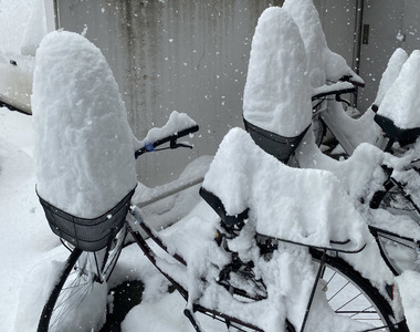 《北海道大雪景象》札幌電車全線停駛通勤族哀號 不忘苦中作樂分享驚人惡搞照