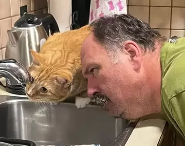 網友分享《我家橘貓展現憨憨的瞬間》各種分享自家毛孩不太聰明的證據照片