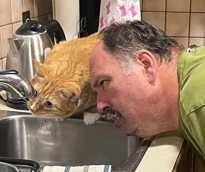 網友分享《我家橘貓展現憨憨的瞬間》各種分享自家毛孩不太聰明的證據照片