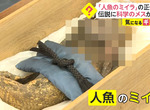 《300年前的人魚木乃伊》號稱吃了人魚肉可以長生不老?日本要探究傳說是真是假 《300年前的人魚木乃伊》號稱吃了人魚肉可以長生不老?日本要探究傳說是真是假