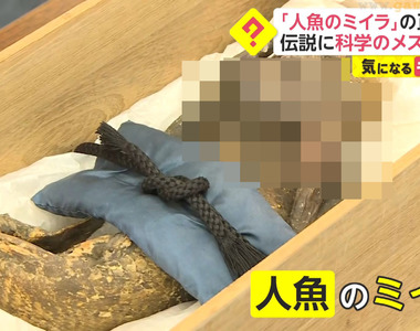 《300年前的人魚木乃伊》號稱吃了人魚肉可以長生不老？日本要探究傳說是真是假