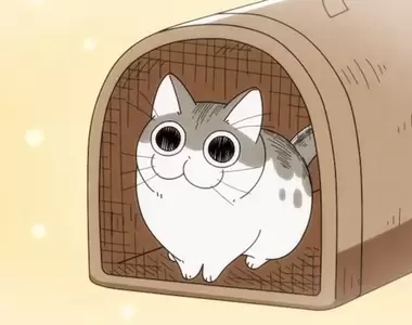 《訂閱貓咪月費380日圓》隨時想養或不養都可以 日本新型態寵物服務引爆大炎上