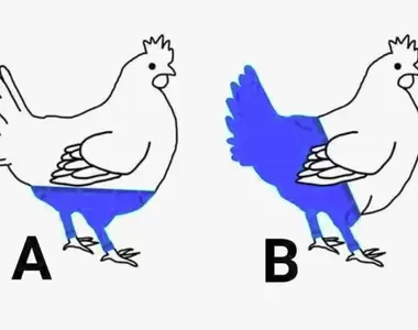 《肯德基》推特發問「雞會怎麼穿長褲?」網友一面倒選...?