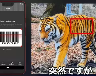 【有片】 ARuFa挑戰《老虎紋掃出條碼》8小時Barcode掃描結果…