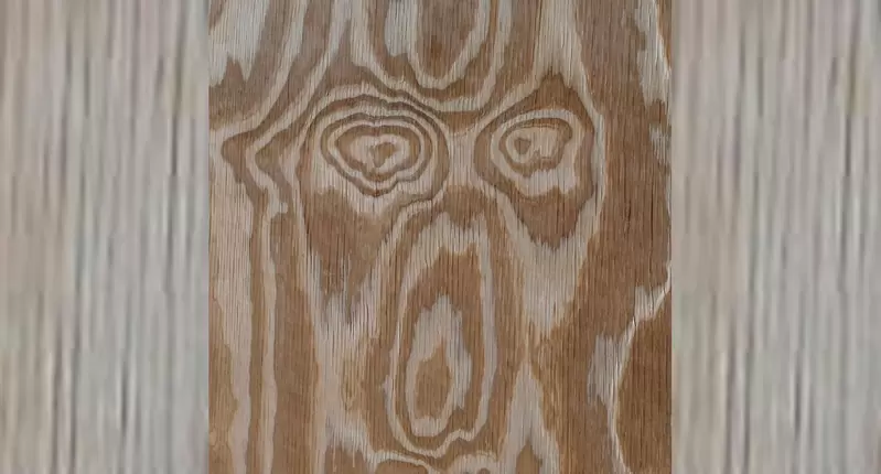 網友分享《總覺得看到了一張臉的光景》有80%的情況我內心的小劇場都是這種表情 網友分享《總覺得看到了一張臉的光景》有80%的情況我內心的小劇場都是這種表情