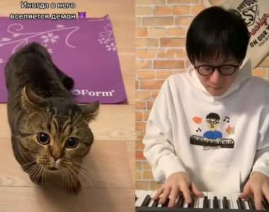 替各種毛孩配樂的《寵物混音大師》來～老師音樂請下