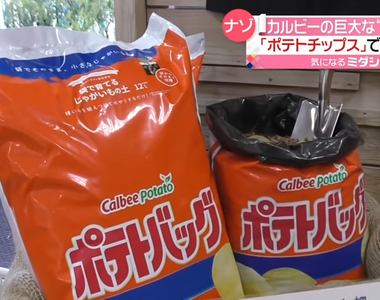 《日本話題特大包洋芋片》想吃卡樂比洋芋片嗎?請你先從馬鈴薯開始種