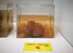 《館長成為展示品的博物館》已故初代館長至今仍在迎接客人 名副其實掏心掏肺做出了貢獻 《館長成為展示品的博物館》已故初代館長至今仍在迎接客人 名副其實掏心掏肺做出了貢獻