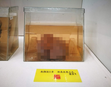 《館長成為展示品的博物館》已故初代館長至今仍在迎接客人 名副其實掏心掏肺做出了貢獻