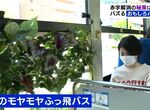 《全宇宙最有趣的公車》社長歡迎任何奇葩點子 車上種滿花花草草拯救低迷的業績 《全宇宙最有趣的公車》社長歡迎任何奇葩點子 車上種滿花花草草拯救低迷的業績