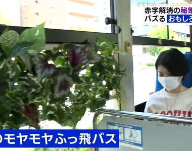 《全宇宙最有趣的公車》社長歡迎任何奇葩點子 車上種滿花花草草拯救低迷的業績