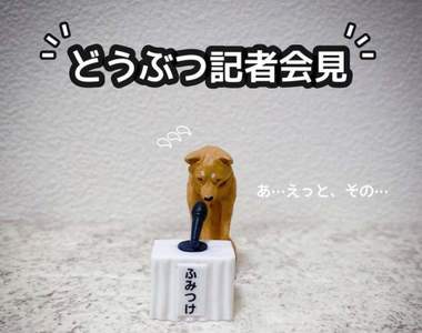 趣味扭蛋《動物的謝罪記者會》以後要是做了對不起人家的事,那就推它們出去吧(誤)