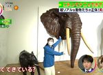 《世界唯一的皮革藝術家》動物模型栩栩如生 皮革美術館成了鳥取最新觀光景點 《世界唯一的皮革藝術家》動物模型栩栩如生 皮革美術館成了鳥取最新觀光景點
