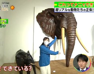 《世界唯一的皮革藝術家》動物模型栩栩如生 皮革美術館成了鳥取最新觀光景點