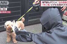 《日本忍術秘笈新發現》忍者秘傳讓狗不叫的絕招？實際找狗測試的結果是……