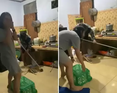 《女子合力抓老鼠》抓是抓到了！？但結果還是相當出人意料XD